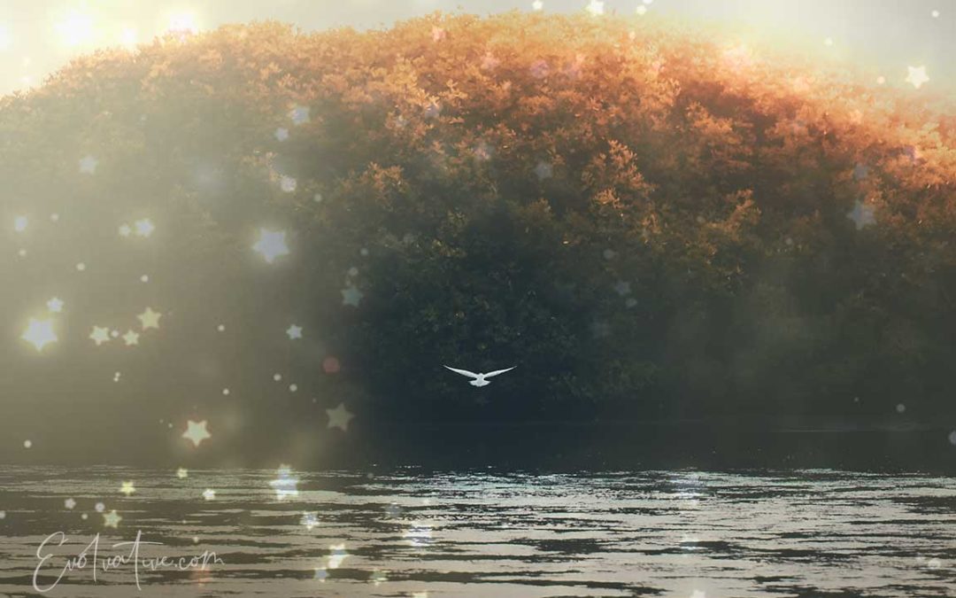 white-bird-trees-lake-byAmeenFahmy